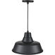 R Series 1 Light 14 inch Satin Black Indoor Pendant Ceiling Light
